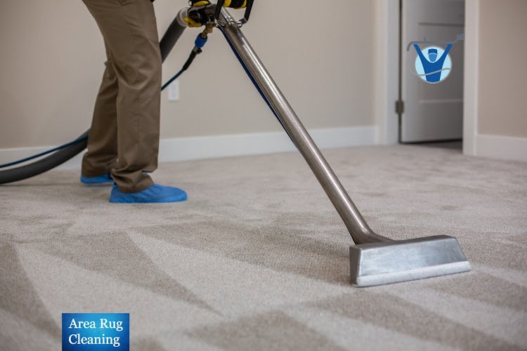 Area Rug Cleaning in Lake Worth, FL;