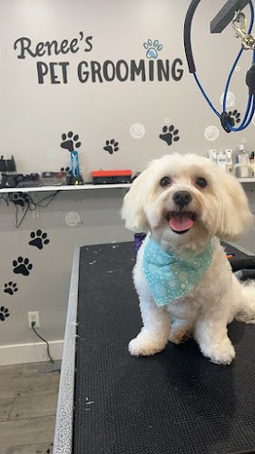 CjYKMlNuYXBjaGF0LzEzLjIxLjAuNDQgKGlQaG9uZTE0LDU7IGlPUyAxOC4xLjE7IGd6aXApIAI=