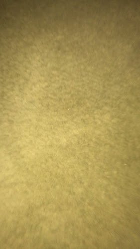 AF1QipPqxUpVHgmyWlIN7fnllhPjdtFrBru9TV2gftlfw800-h500-k-no.jpg