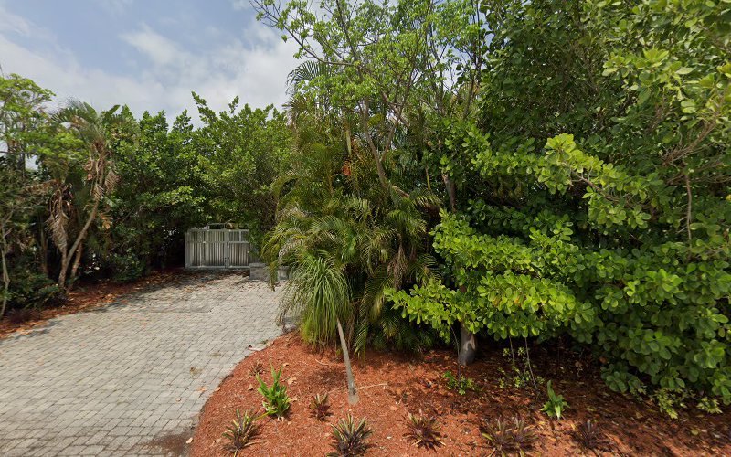thumbnail-977.jpg